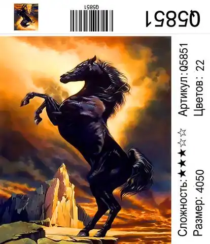 Картина по номерам 40x50 "Черный конь" Q5851 Новый мир