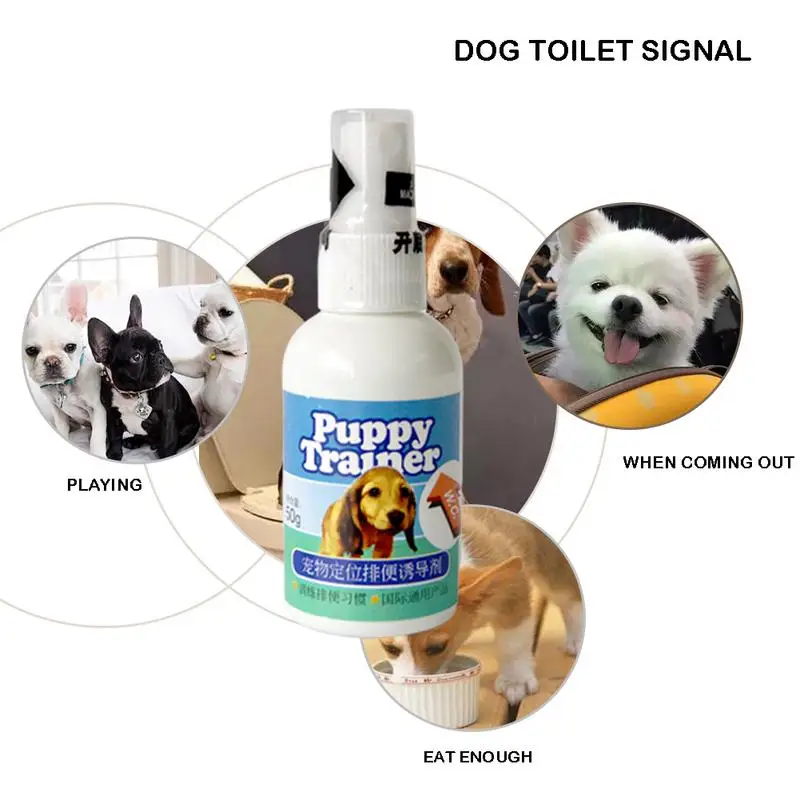 

50ML Dog Training Spray Pet Potty Aid Training Liquid Positioning Fluid Creative Training Spray For Dogs Puppy Cats