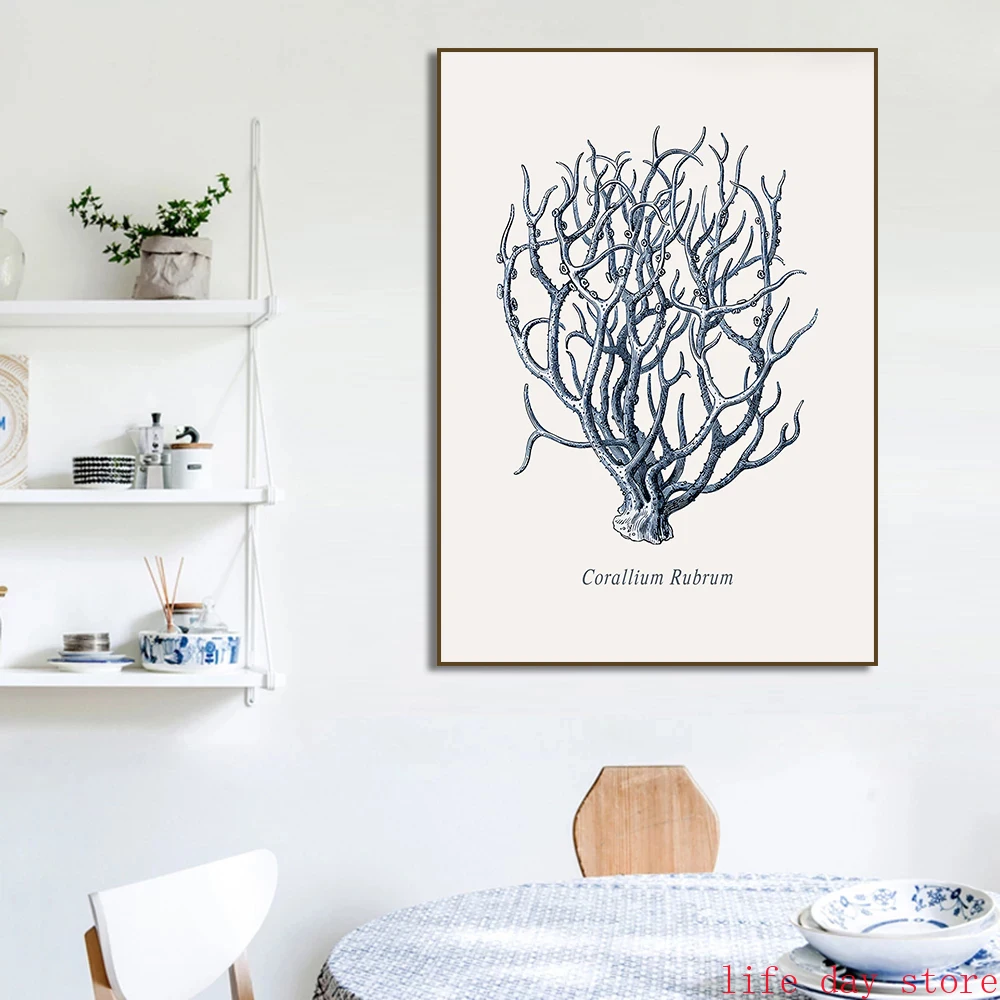 Постеры на холсте с морскими ракушками и