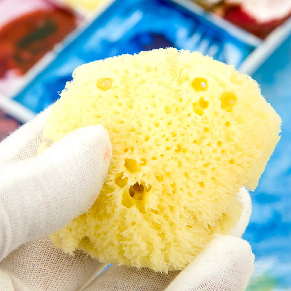 

Sponge Sponges Artist Painting Absorbing Greeksponging Sea Pottery Clay Natural Texturing Absorbent Accessory Ocean