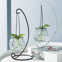 living room simple creative hanging flower arrangement hanging bottle transparent glass pumpkin vase