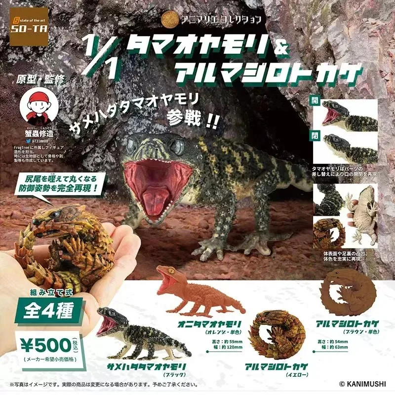 Оригинальная фигурка Gacha маленькая модель Armadillo Girdled ящерица кордил катапректус