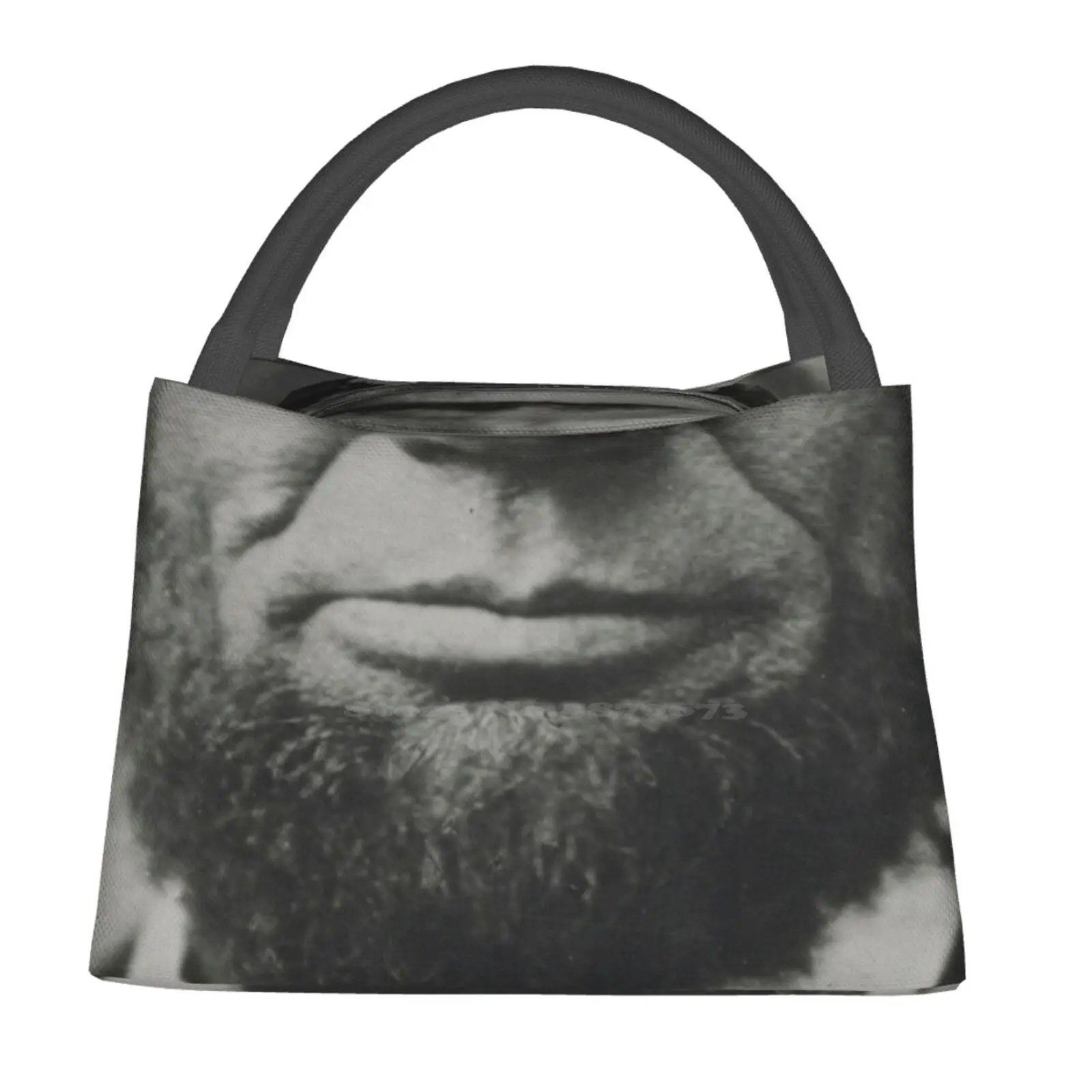 

Изолированные термосумки с принтом «Авраам Линкольн-рот»