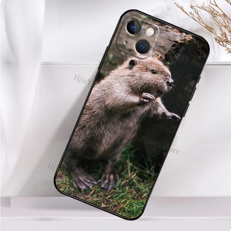 Мягкий противоударный чехол для iPhone 11 12 Pro X XS XR 7 8 Plus SE 2020 13 Max | Мобильные телефоны и