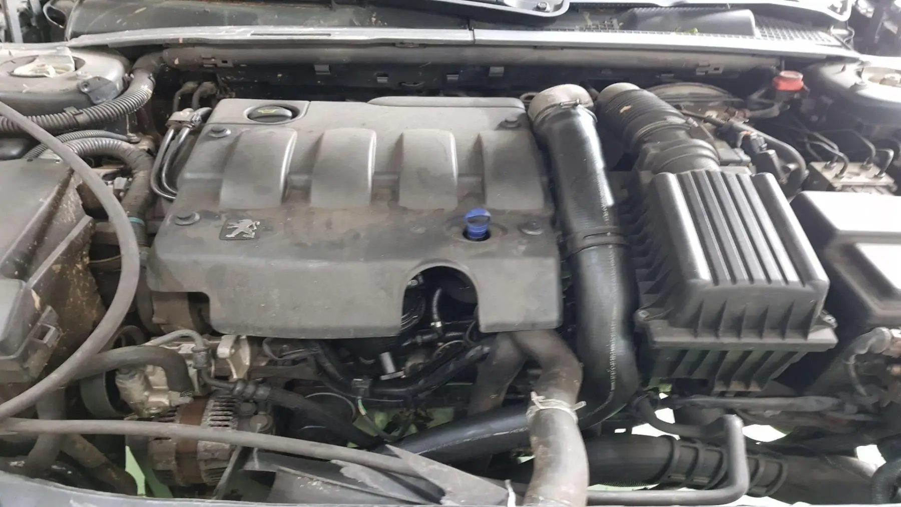 /78372/правый передний тормозной суппорт для PEUGEOT 406 седан (8B)|Тормозной цилиндр| |