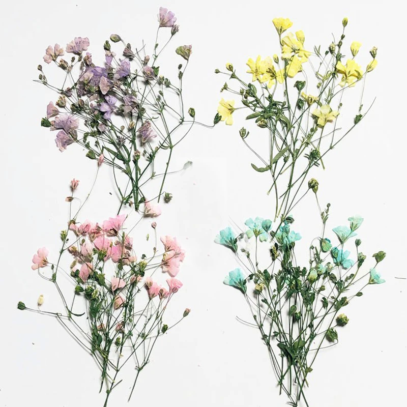 

Новинка Розовый Звездный натуральный сушеный прессованный цветок для вечерние ринки фестиваля 80 шт. Бесплатная доставка