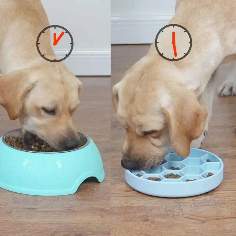 

Pet Slow Food Bowl Prevent Choking Rice Bowls Puppy Cat Slow Down Eating Feeder Dish Prevent Obesity Dog Feeding Supplies