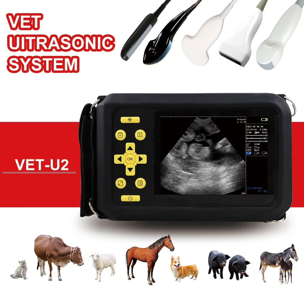 

Ветеринарный портативный фотосканер Vet-U2, ультразвуковой тест на беременность у животных, водонепроницаемая IP7