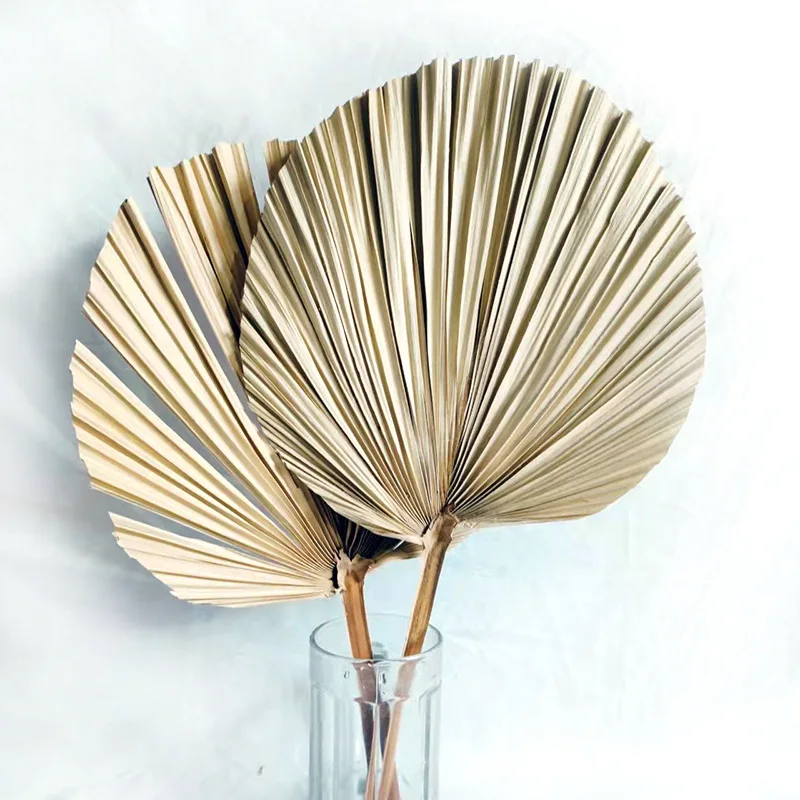 Источник производителей пальмовых листьев растительные сухие цветы ДИЙ праздничное украшение 3,19 доллара США.