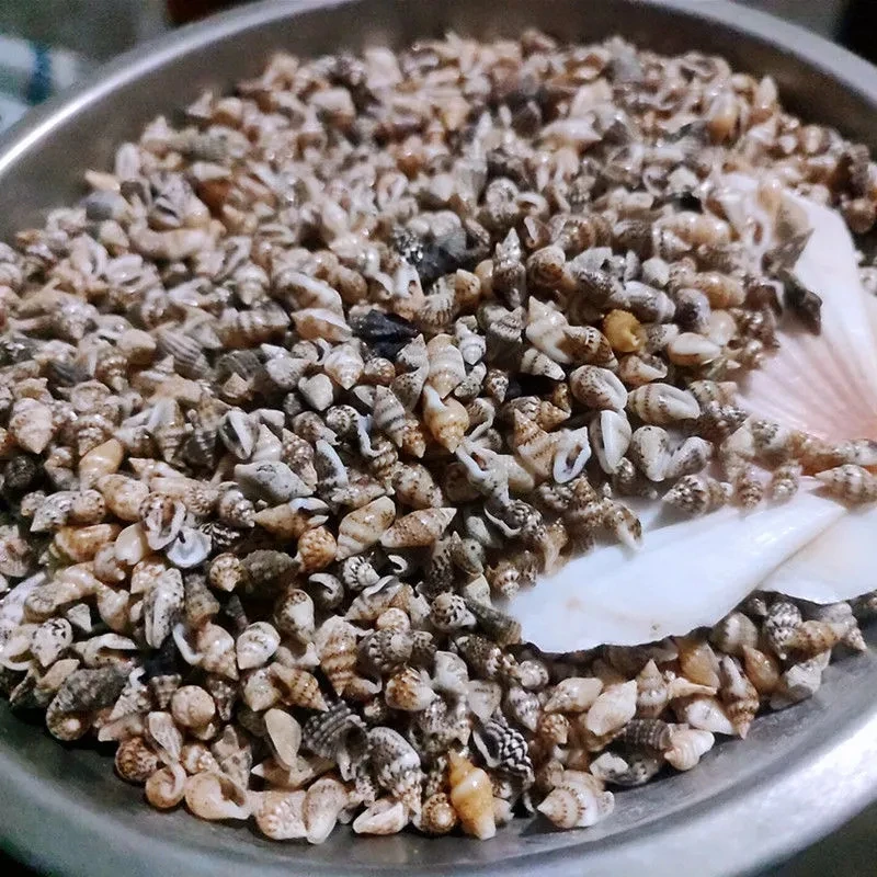 1000 шт. аквариумные украшения в виде ракушек |