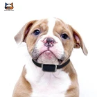 Водонепроницаемый ошейник для домашних животных, IP67, 2G, GPS, GSM трекер, мини-светильник для домашних животных, собак, кошек, крупного рогатого скота, овец