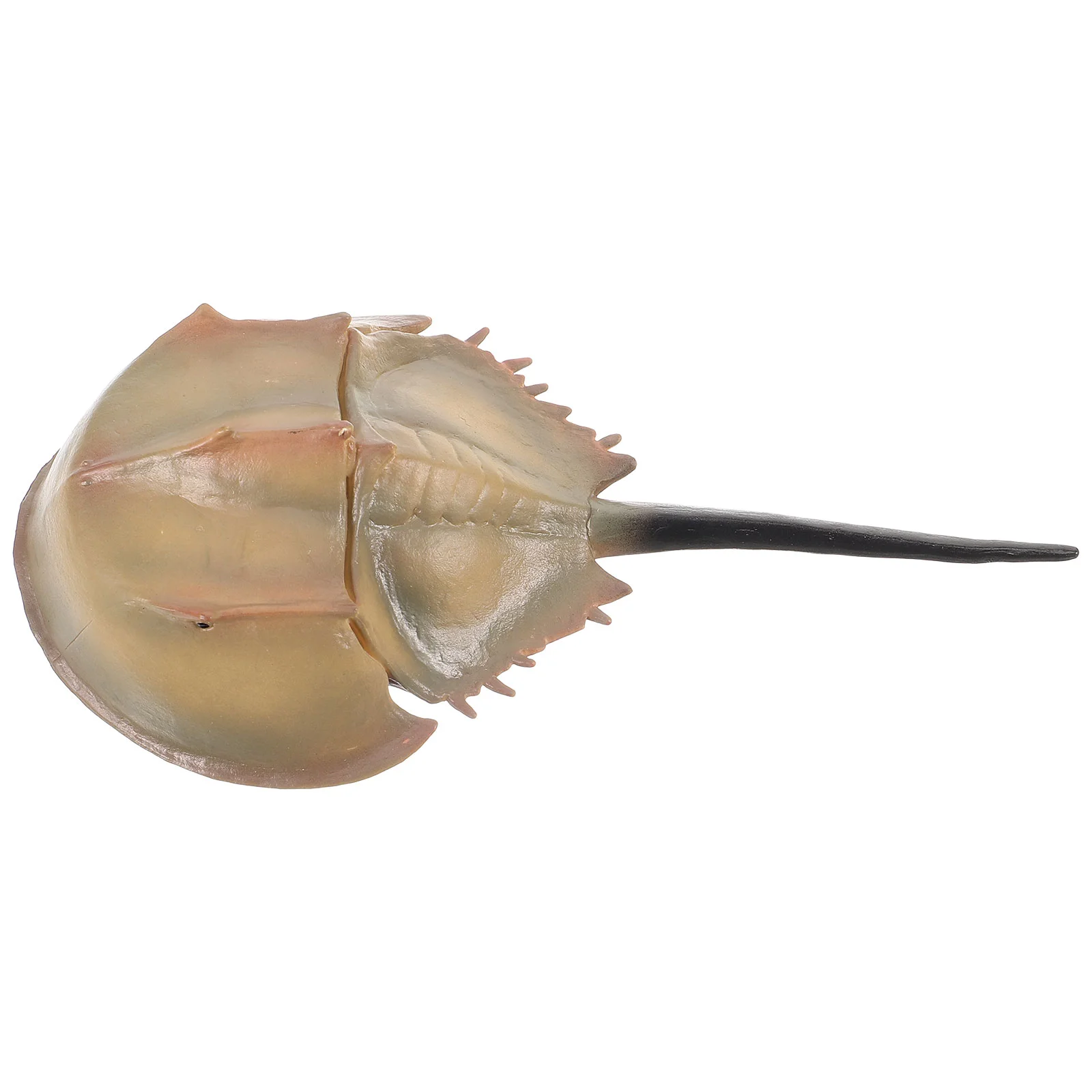 

Simulated Marine Life Fish Tank Decoration Horseshoe Crab Simulation Model Decorations False Photo Prop Decorate