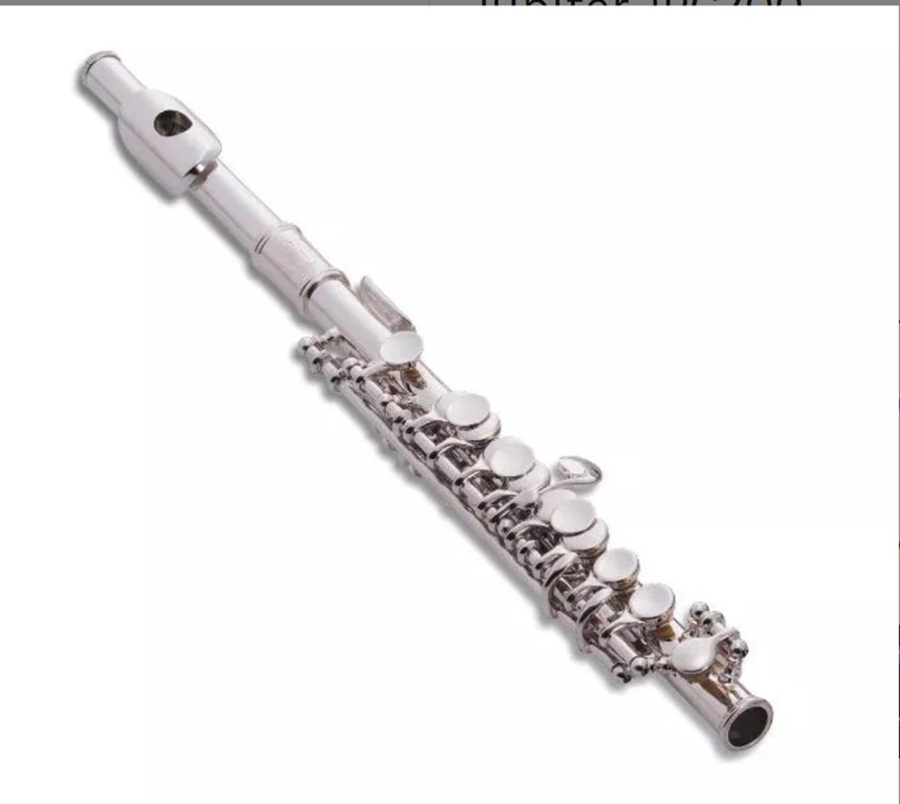 

Silver plated headjoint, body and keys, cylindrical bore, stainless steel springs.JPC700 Student piccolos with Case