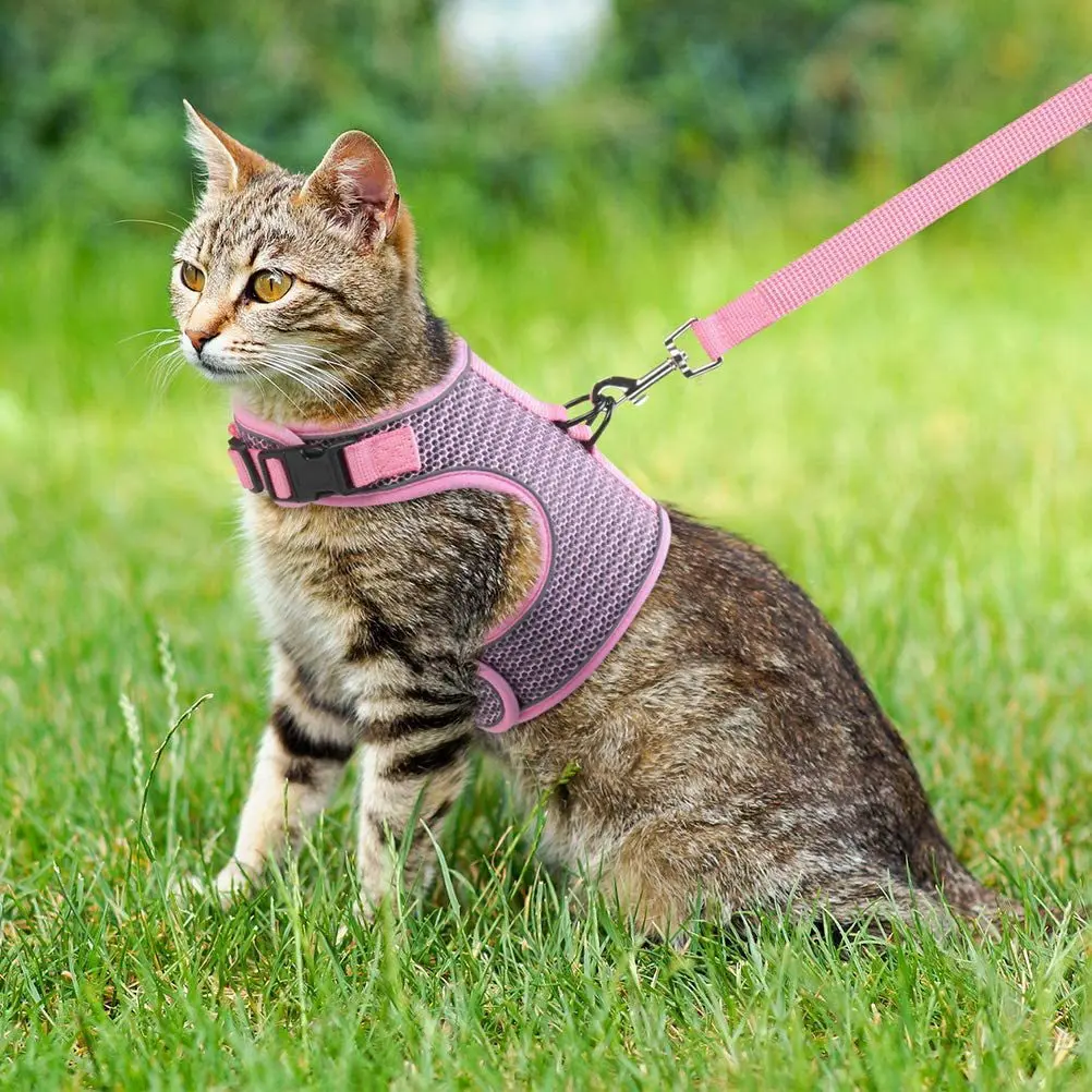 

Pet Mesh Soft Harness With Leash Small Animal Vest Lead for Hamster Rabbit Bunny Small Animal Pet Accessories Belt Lead Set
