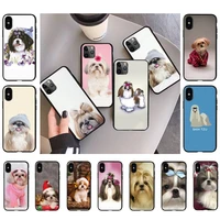 shih tzu shitzu dog puppy phone case for iphone 11 12 13 mini pro xs max 8 7 6 6s plus x 5s se 2020 xr case
