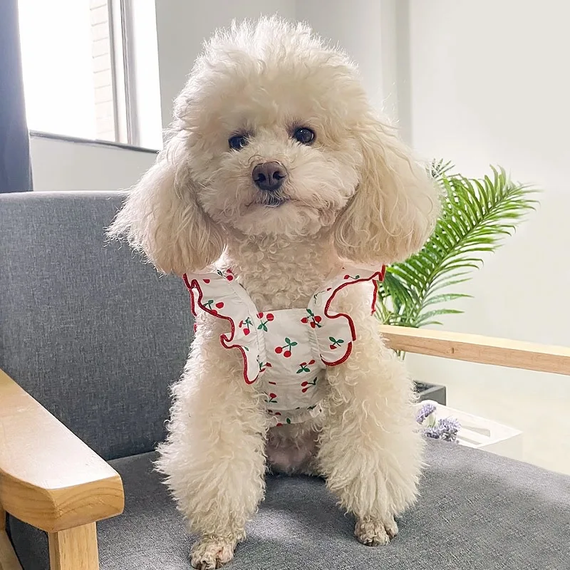 

Vest Pet Dog Clothes Cat Solid T-shirt Clothing Dogs Thin Small Fashion Chihuahua Summer Breathable Girl Pug Pet Vest York