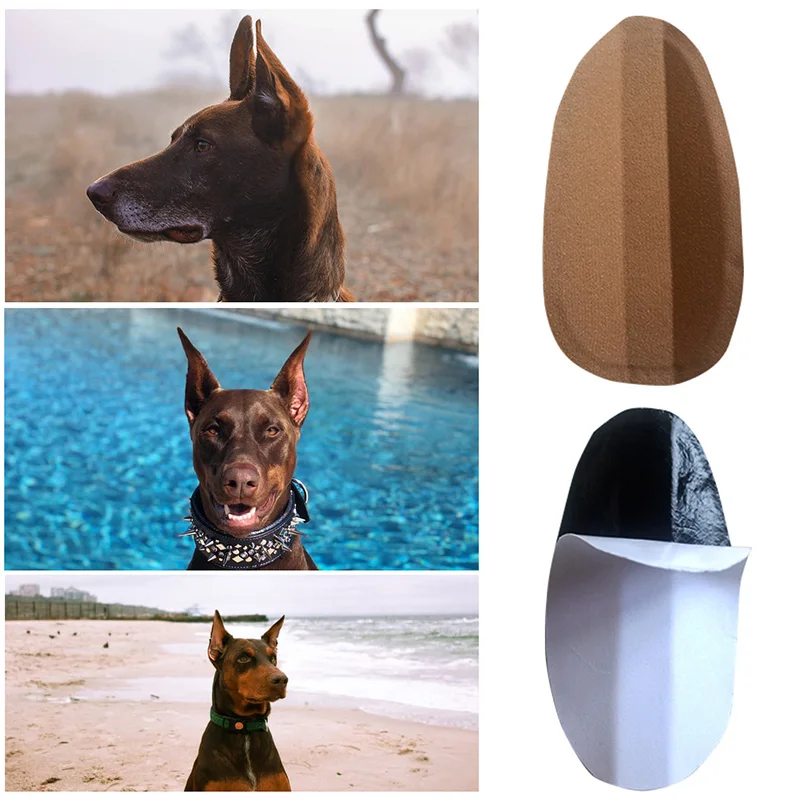 Ear Stand Up Sticker Dog Supplies Ear Erector Pet Standing Ear Correction Self-adhesive Safety Convenient Ear Care Tools images - 6