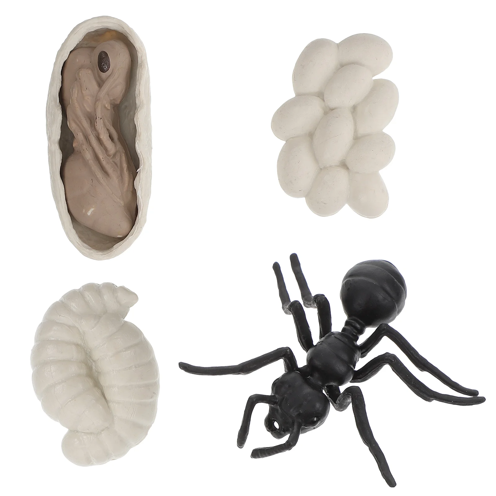 

Cycle Life Figurinesbutterfly Growth Frog Workerset Exploration Insect Ant Kit Models Butterflies Cycles Theanimals