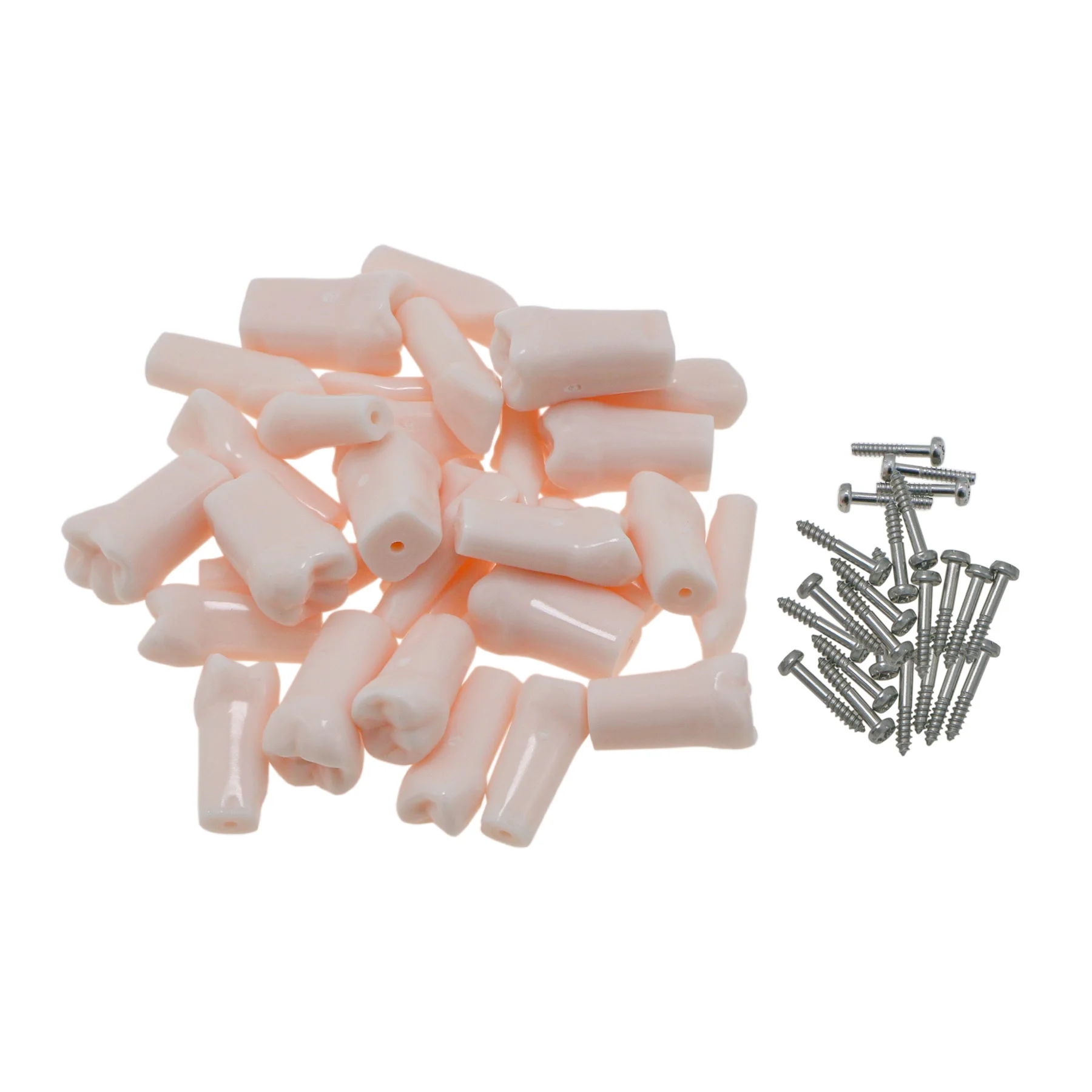 32 шт. Kilgore NISSIN 200 Тип стоматологические модели зубов Typodont для стоматологических