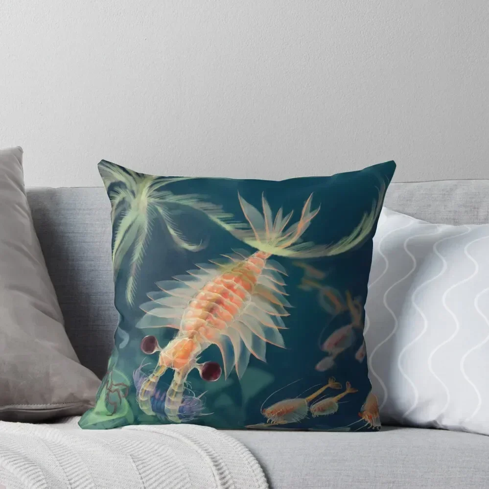 Anomalocaris живопись пледы подушки наволочки для подушек роскошные диванные