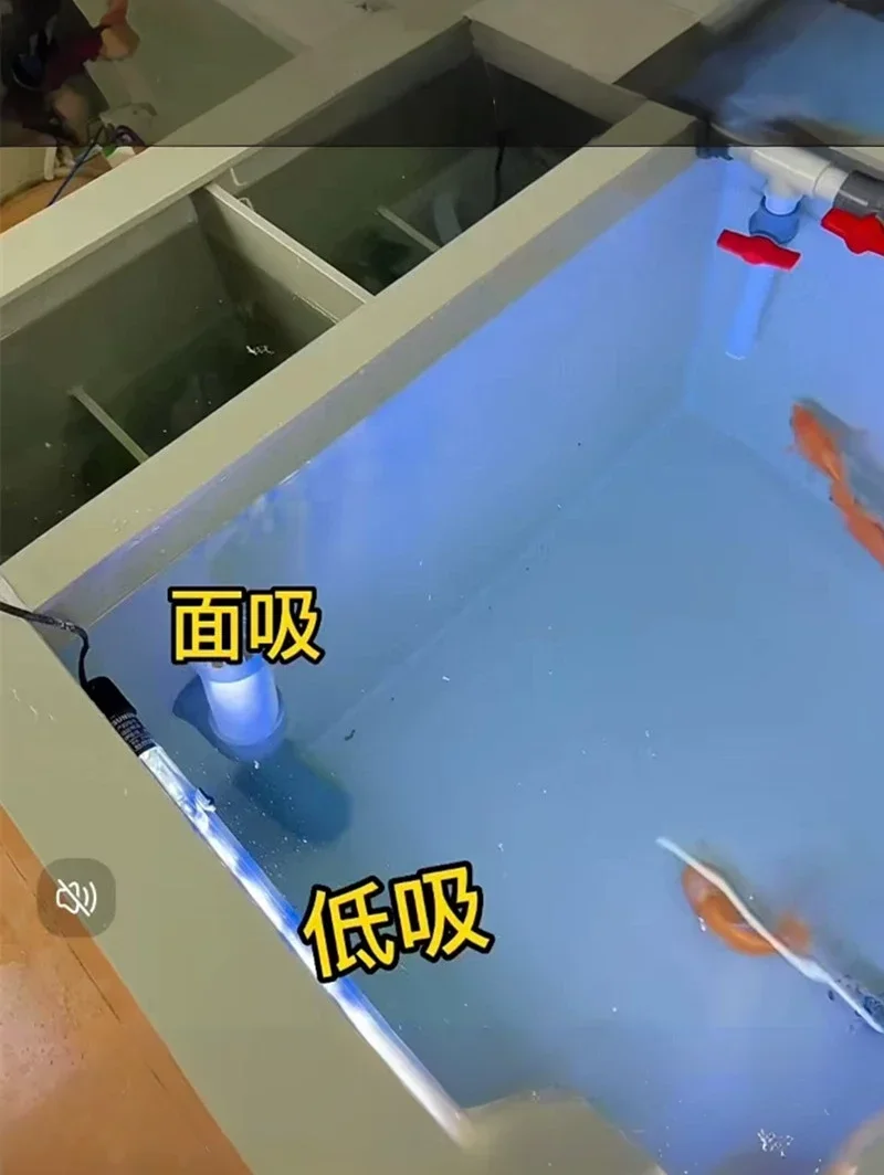 Гостиная домашний напольный шкаф для аквариума аквариум кои пруд система