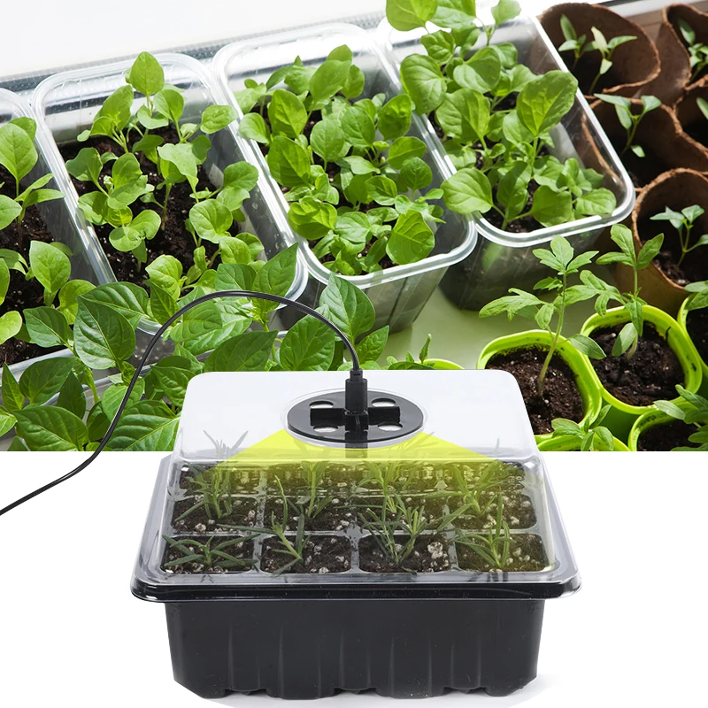 

2022 New 5 Pack Plant Seed Starter Trays Kit Seedling Germination Box With Grow Light Greenhouse Growing 60 Holes Cell Trays