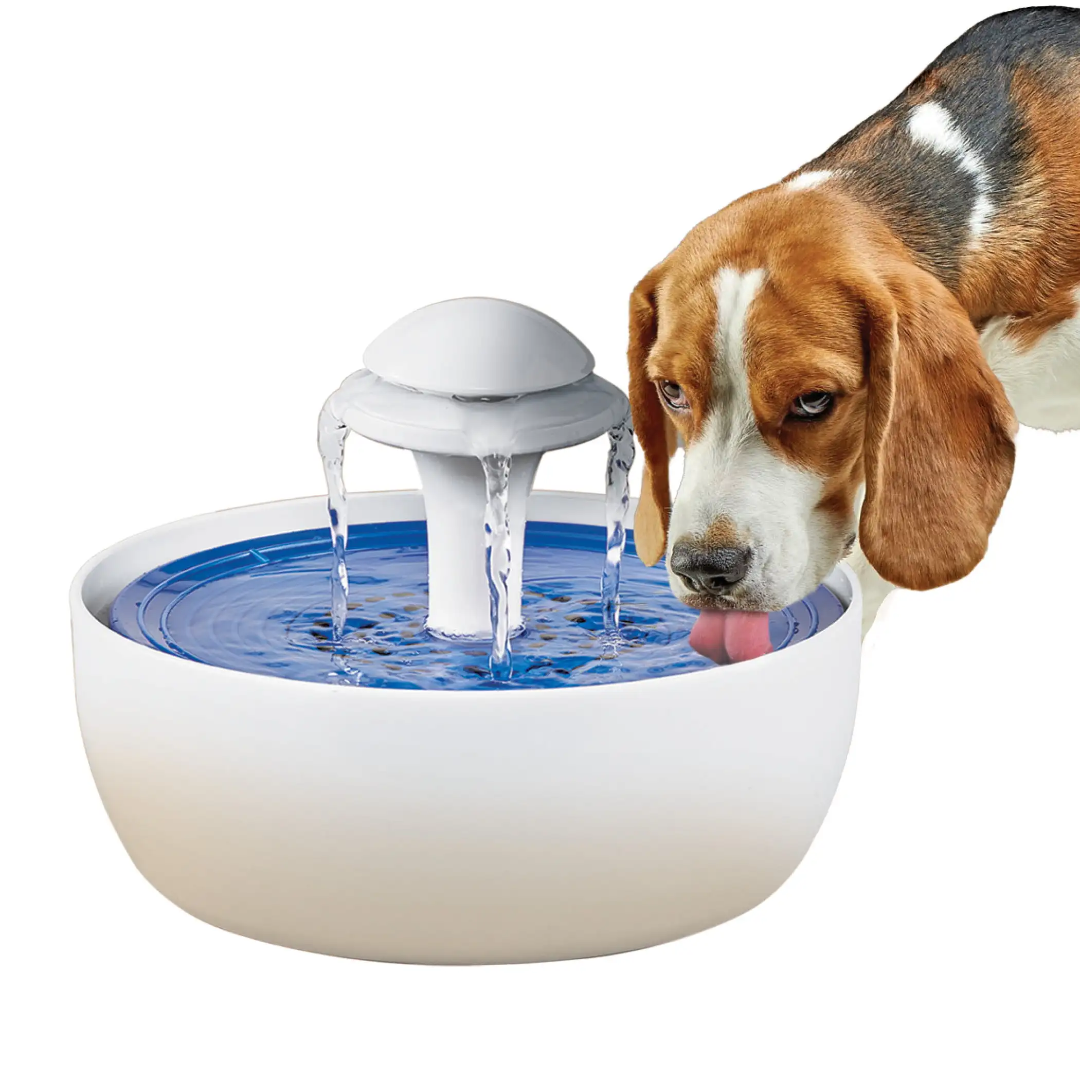 

Automatic Pet Water Fountain with Charcoal Filter and Fountain for Recirculation