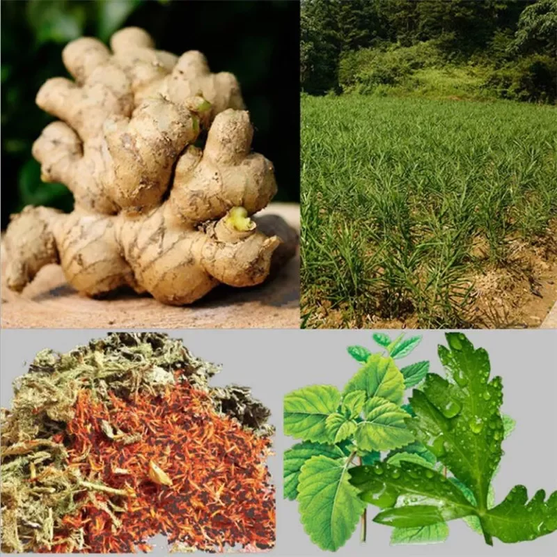 10 шт. пластыри с имбирем для детоксикации |