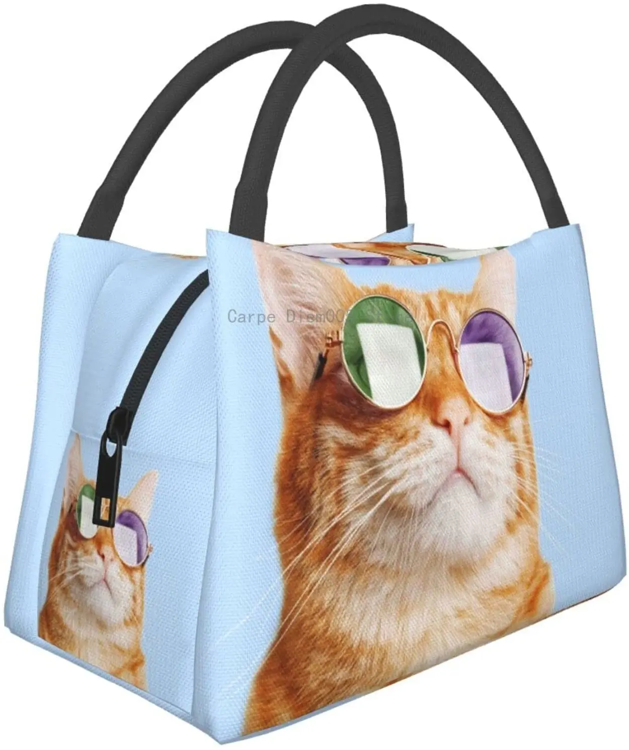 

Cat With Glasses Portable Insulation Bag,Reusable Lunch Box Container For Women Men Office Work Travel Beach Hiking