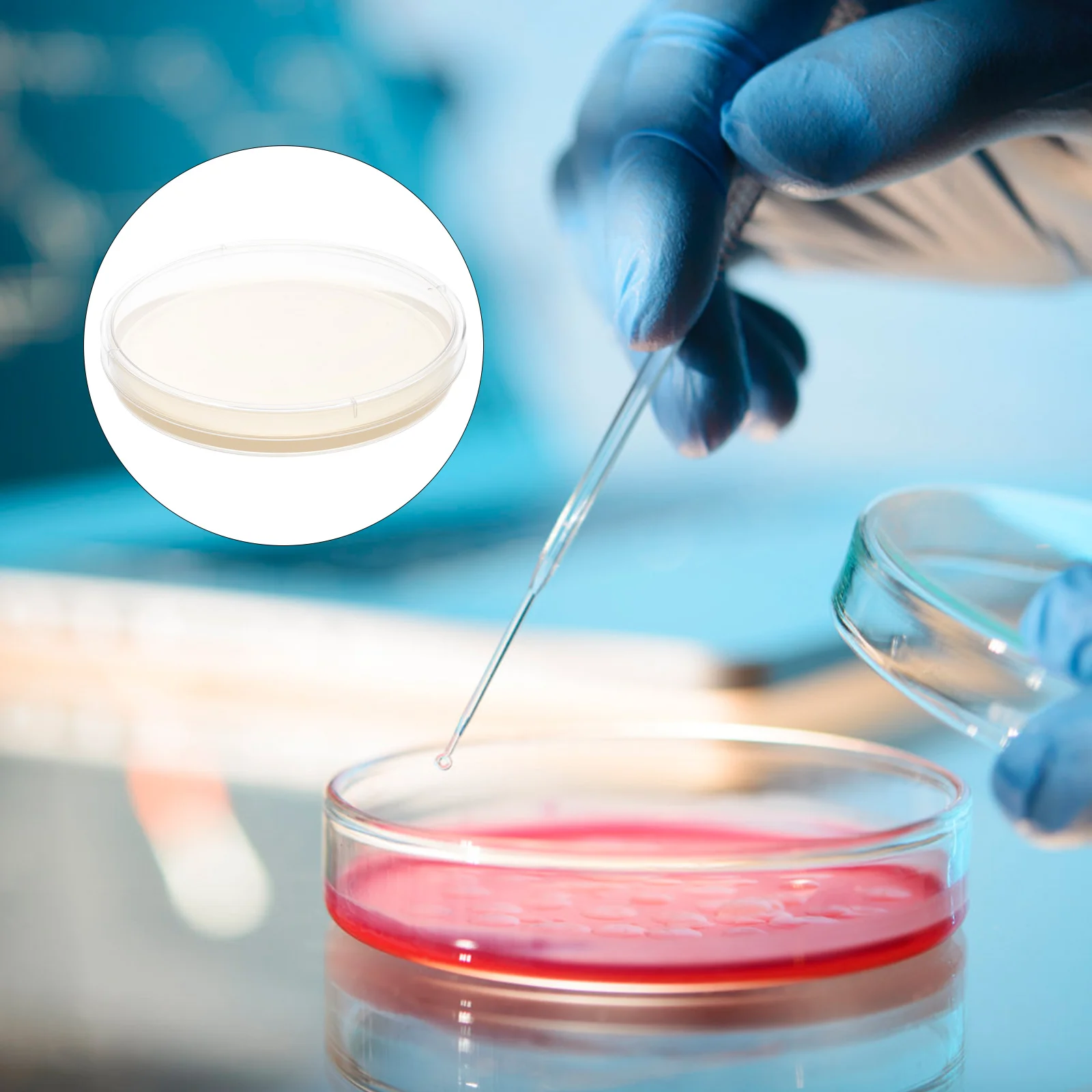 10 шт. питательная тарелка с агаром Petri Medium Science Fair Project Kit Poured Plates Kids Pre-Poured Child