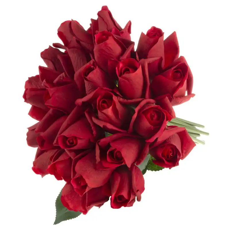 

Artificial Rose Bud Bouquet Â– 24-Piece Faux Flowers (Red)