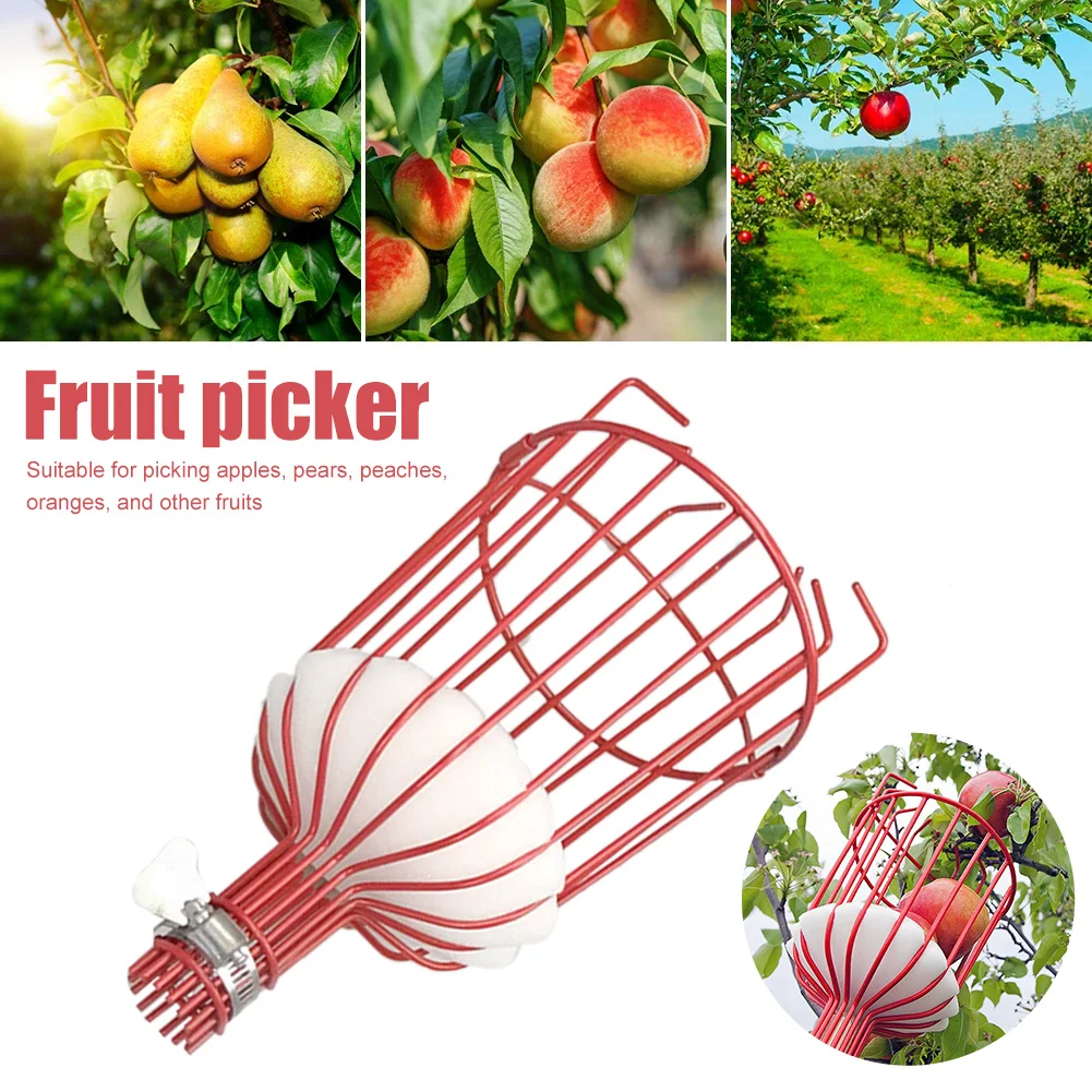 

Fruit Picker Tool Carbon Steel Garden Tool Fruit Picker Basket Detachable High Tree Fruit Catcher for Apple Peach Pear No Pole
