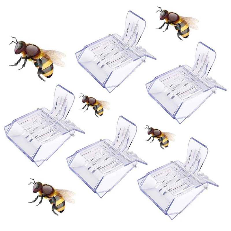 

10Pcs Chinese Ancient Feng Shui Lucky Coin Good Fortune Collection Gift