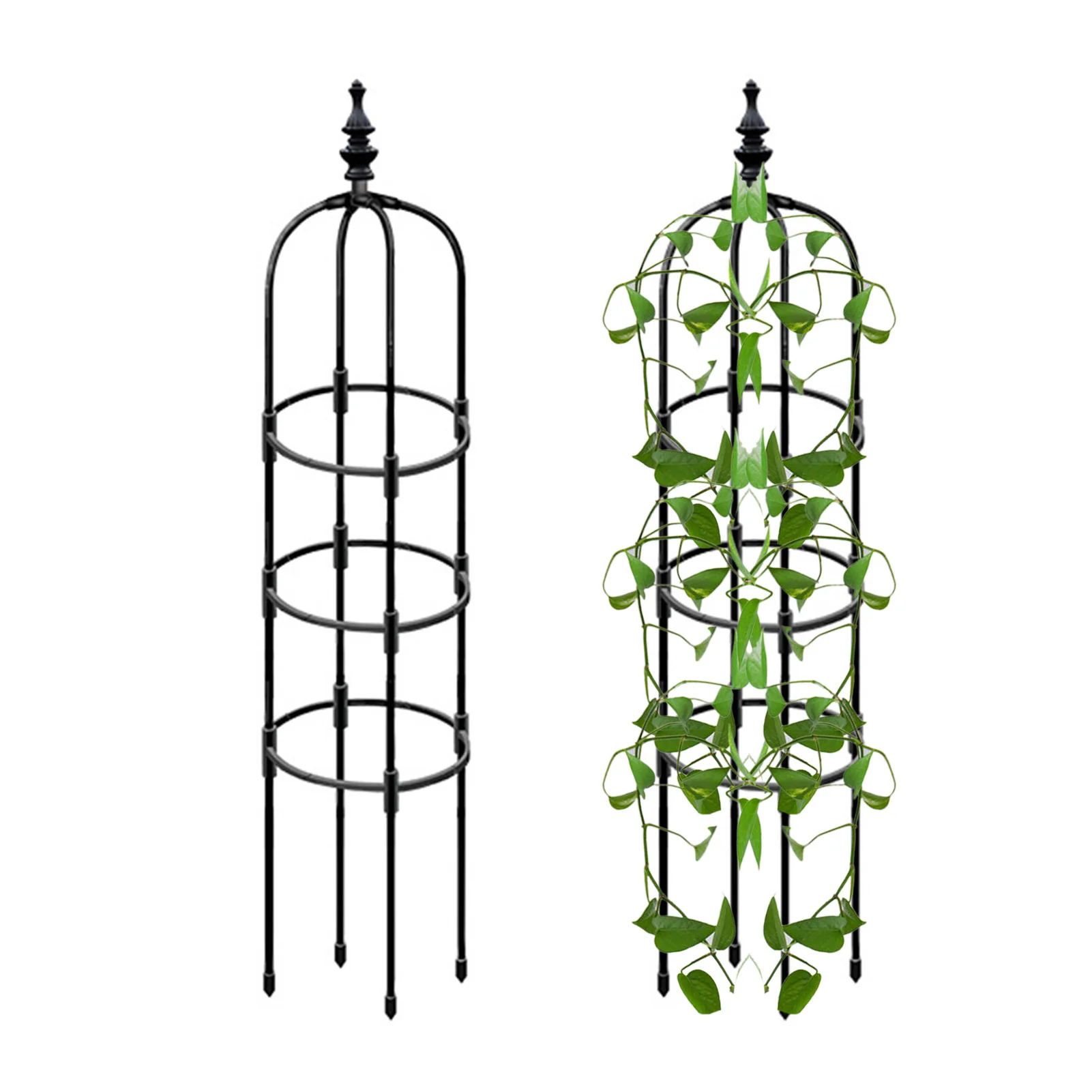 

Trellis For Potted Plants Rustproof Plastics Coated Garden Trellis For Climbing Outdoor Plants Tomato Plant Trellis For Support