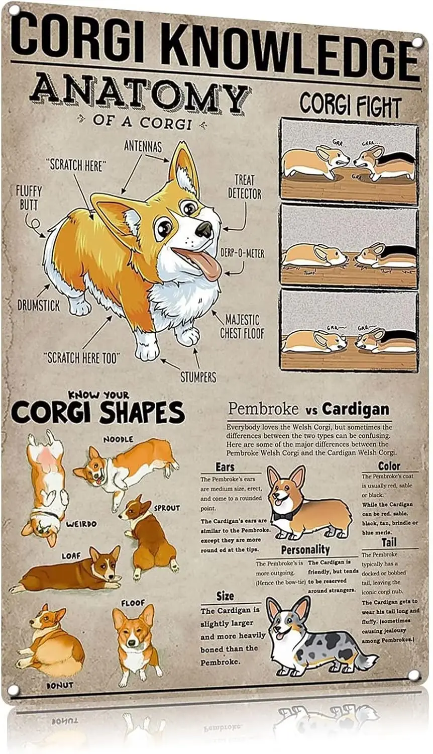 FEBOW Vntge Metl Tn Sgn Corg Knowledge nfogrphc Plque nml Плакат сцены для школы Домашняя комната Kds Educton Frm