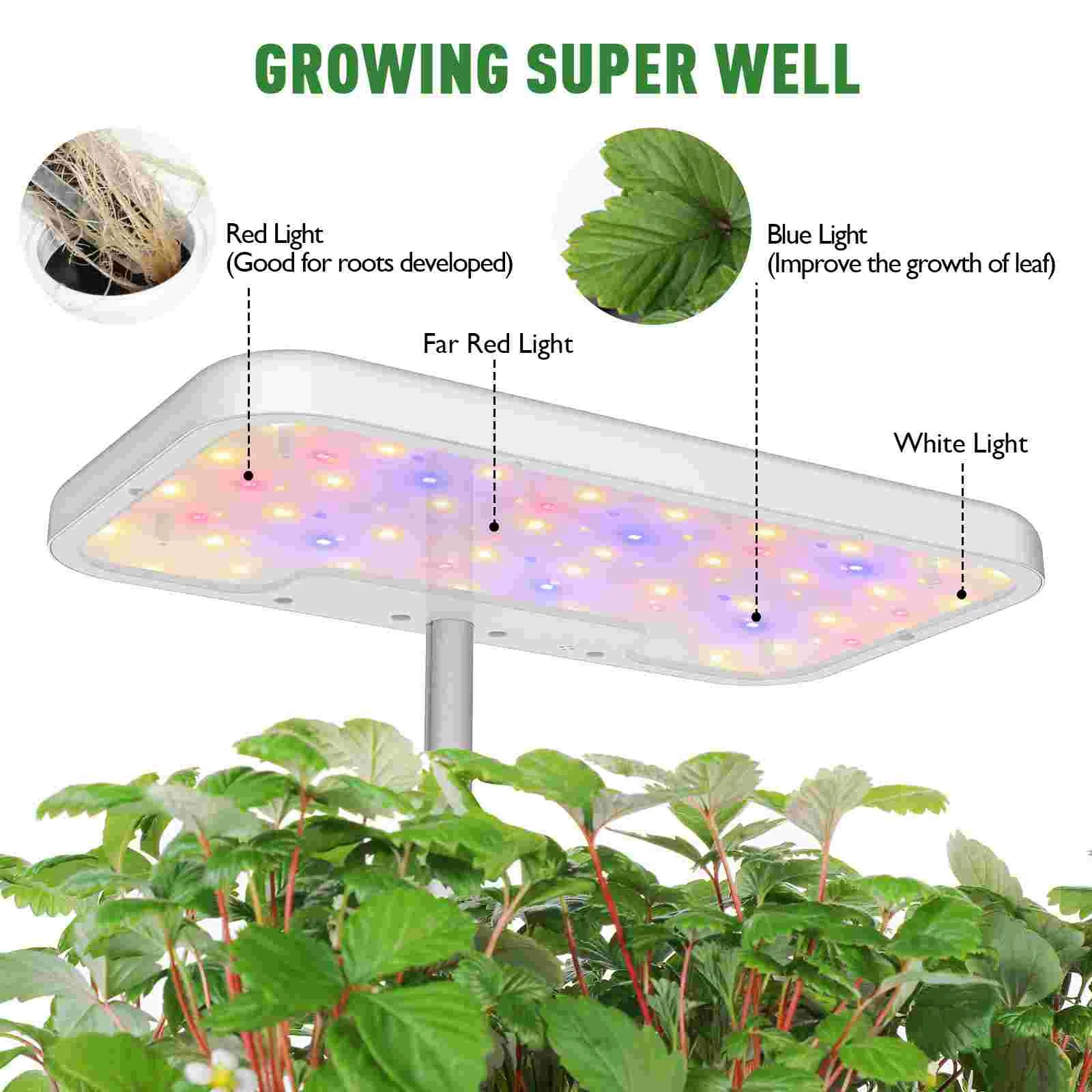 Купить 1pc Flowers Hydroponics Growing System 8Pod Garden Indoor