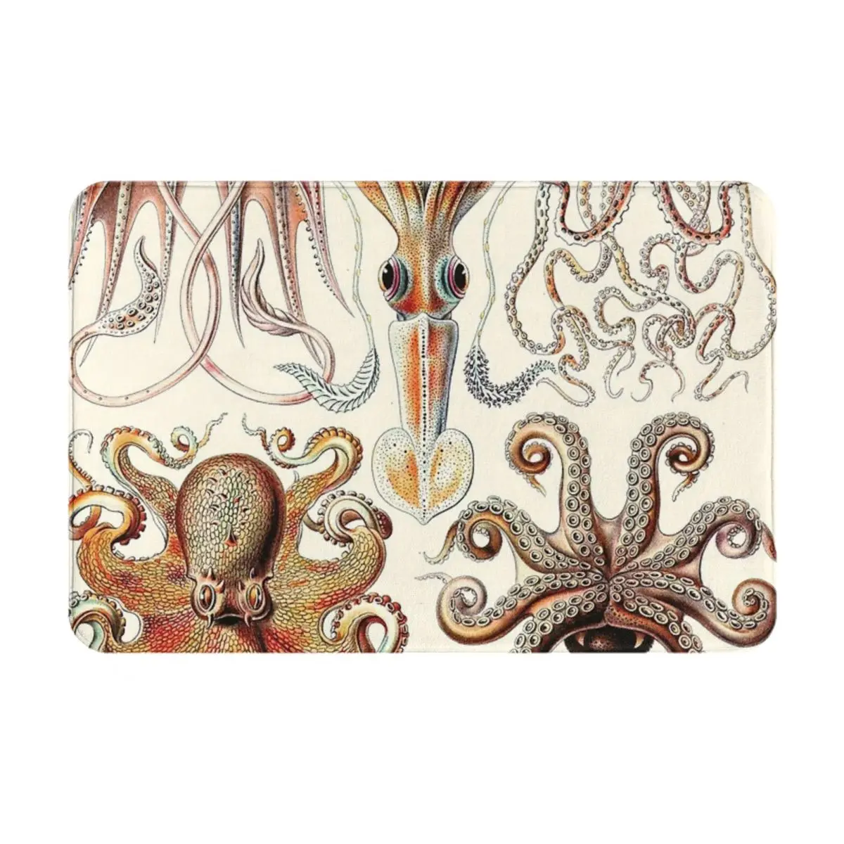 Эрнст Haeckel - Gamochonia Facecloth нескользящий напольный коврик с вышивкой толстые и