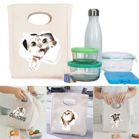2022 women bag canvas tote thermal lunch bag anime cat print clutch shopper grocery storage bagseco organizer travel bags