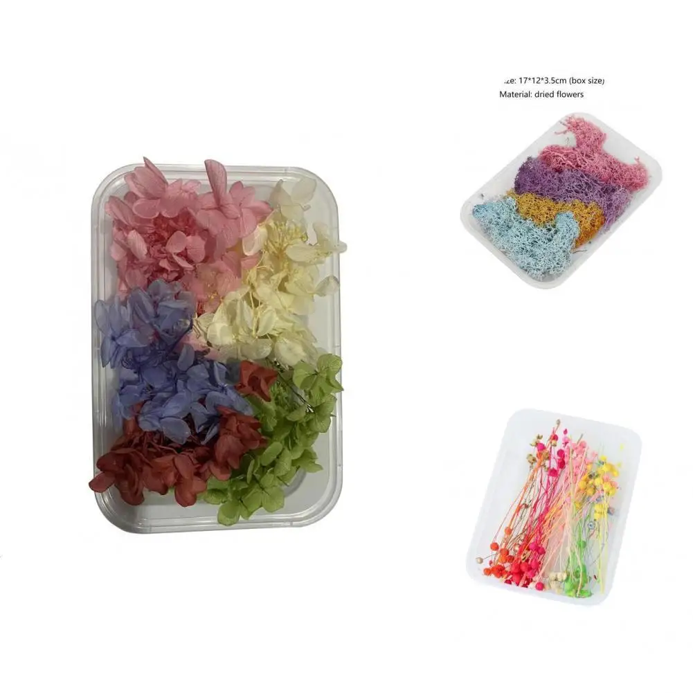 

1 Box Practical Vivid Versatile Colorfast Compact DIY Preserved Flower for Wedding Preserved Flower Dried Flower