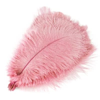 10pcs pink feather diy feather wall decoration feather light jewelry accessories stage clothing material party wedding decor