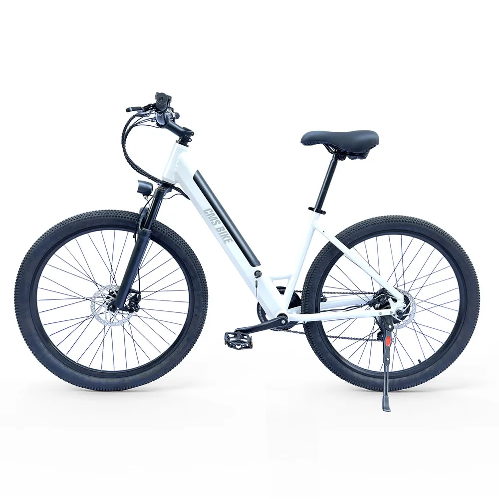 

1,5-дюймовый горный электровелосипед, двойной дисковый тормоз, рама из алюминиевого сплава, амортизация, ЖК-дисплей, инструмент