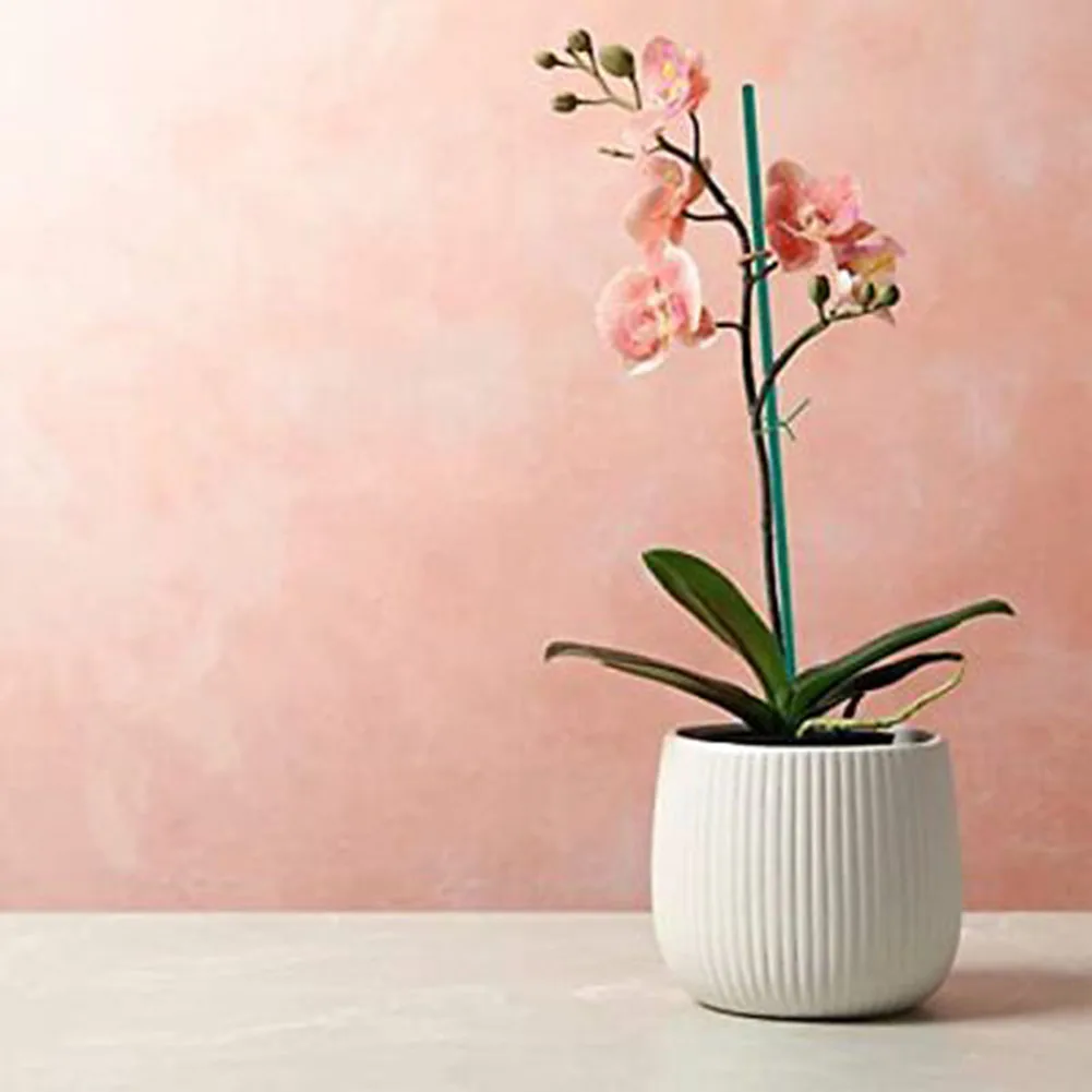 

30Pcs Bamboo Green Sticks Plant Support Flower Stick Orchid Rod Plant Sticks For Supporting Climbing Plant Orchid Tomato