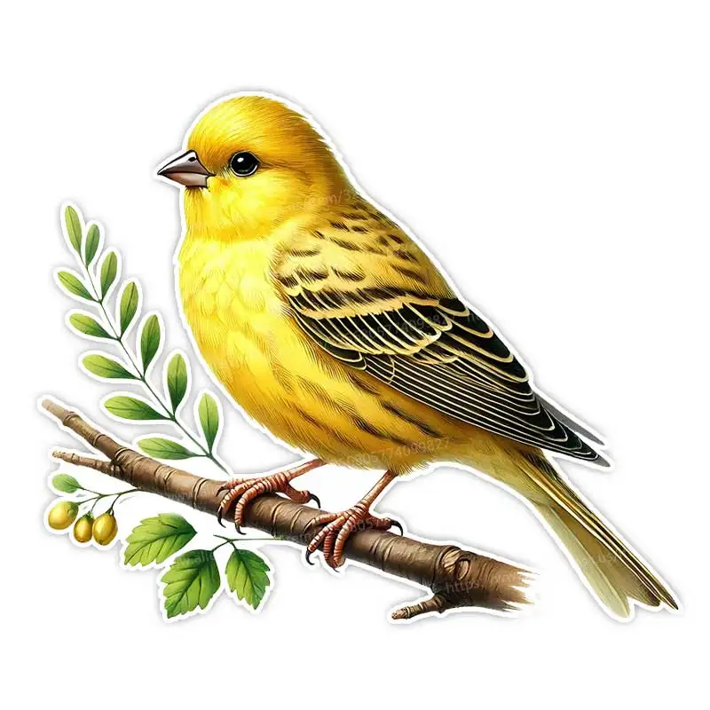 

Настенные наклейки с канарейкой M1166