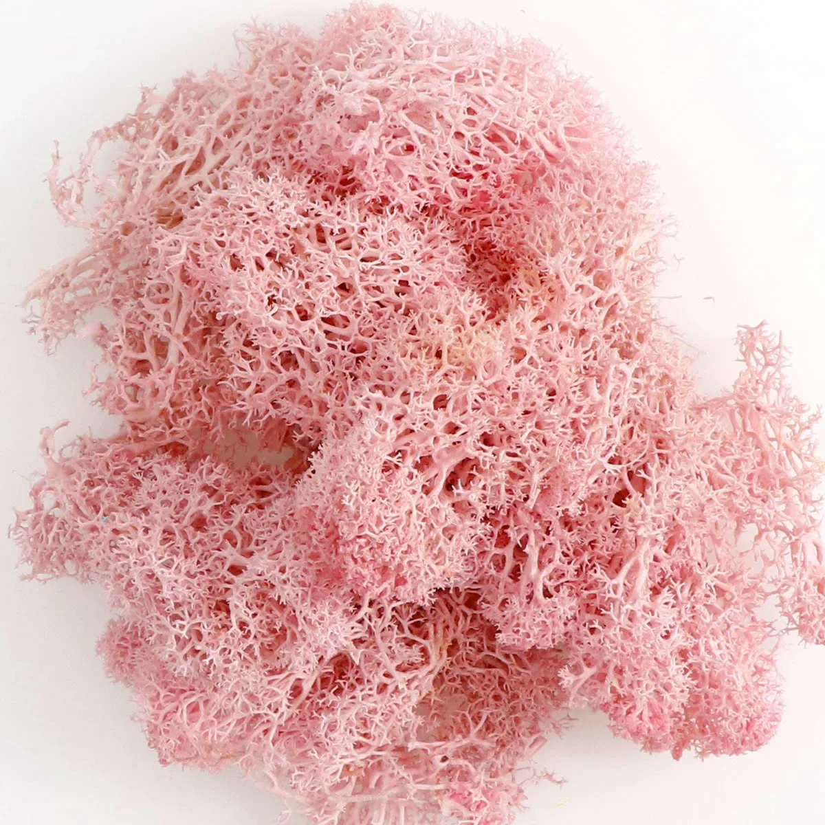 

Натуральный норвежский оленьний мох, 20/40 г