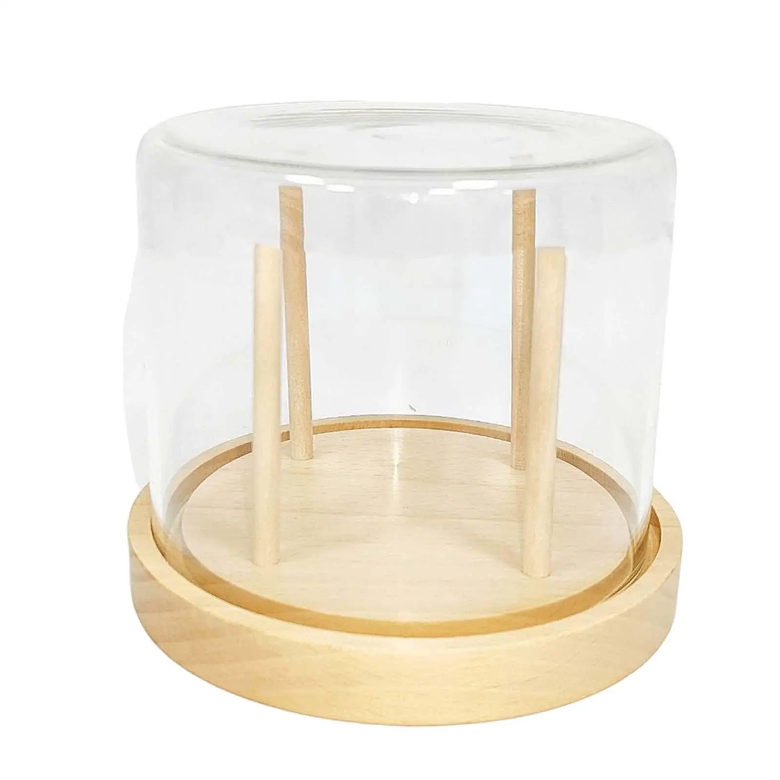 

Coffee Filter Container Accessory Storage with Dustproof Cover for Home Bar