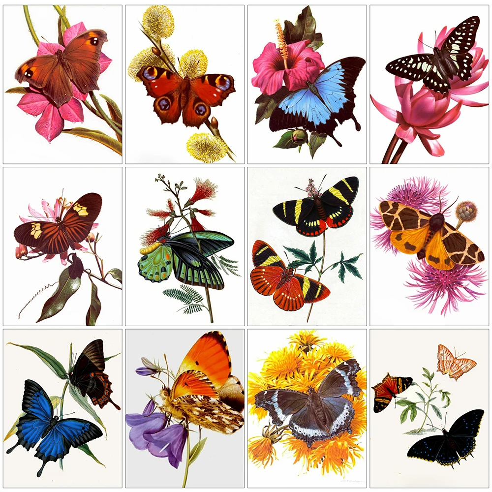 

Алмазная 5D картина EverShine с бабочками, вышивка своими руками, искусственная картина, квадратная мозаика, декор для комнаты