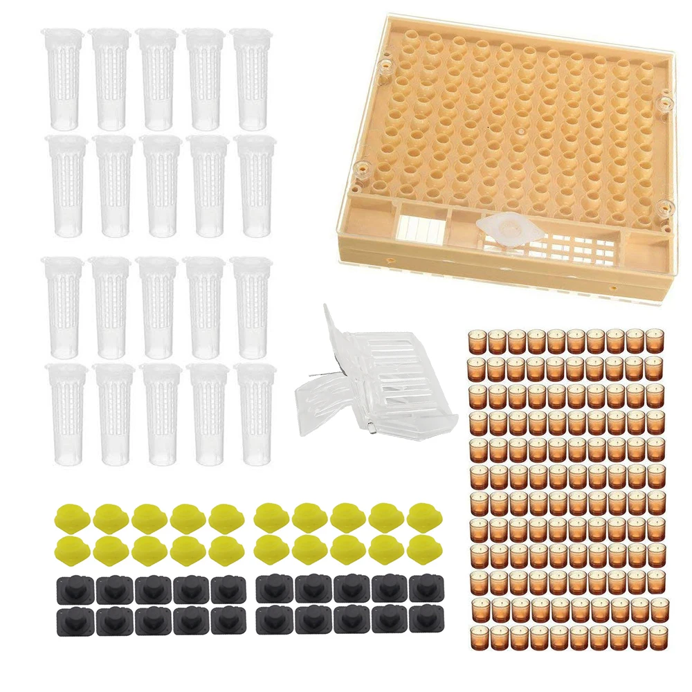 

Complete queen rearing system kit king cultivating box plastic bee bees cells Cell cups cupkit cage beekeeping tools supplier