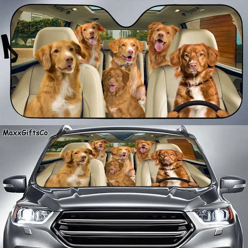 

Nova Scotia Duck Tolling Retriever Car Sun Shade, Dogs Windshield, Family Dogs Auto Sunshade, Dogs Car Accessories, Dogs Lovers