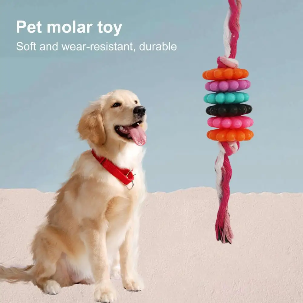 

Oral Health Dog Chew Toy Pet Teething Toy Dog Toy Bundle Durable Teething Chew Toy Bite-resistant Rope Succulent for Dental