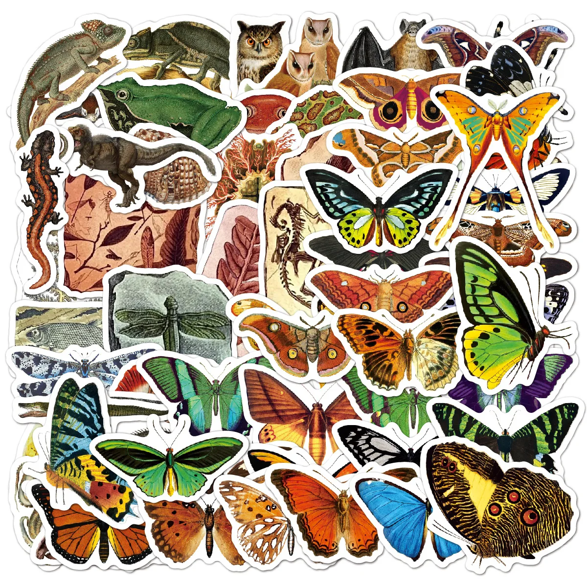 

100PCS Paleontological Butterfly Stickers Kawaii DIY Skateboard Laptop Motor Graffiti Sticker Decals Kids Toys